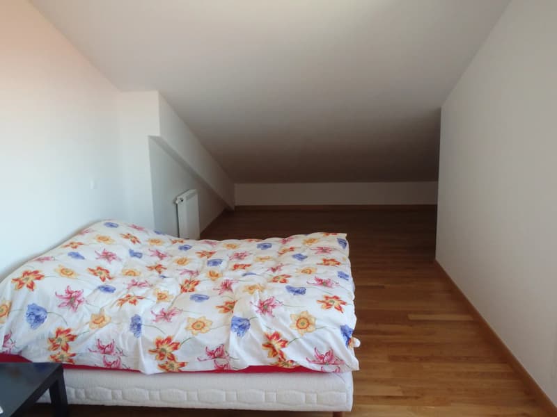 Appartement avec vue dégagée à Chens-sur-Léman (5)