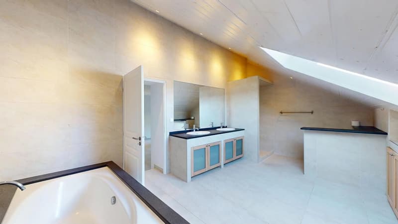 A LOUER - Appartement atypique - Volumes surprenants - Proximité Léman Express (12)