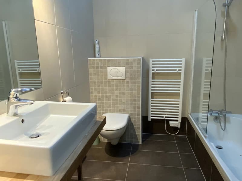 Maison meublée T4 rénovée de 218 m² à louer à Archamps (10)
