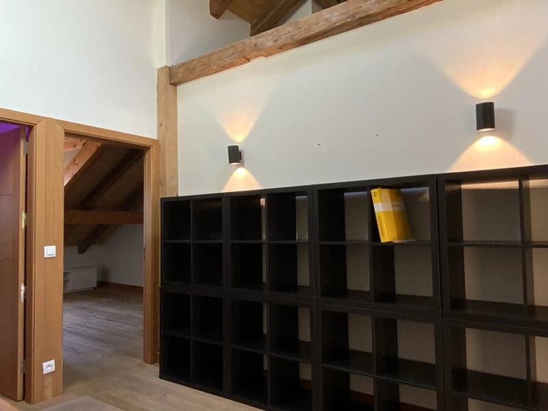 Maison meublée T4 rénovée de 218 m² à louer à Archamps (11)