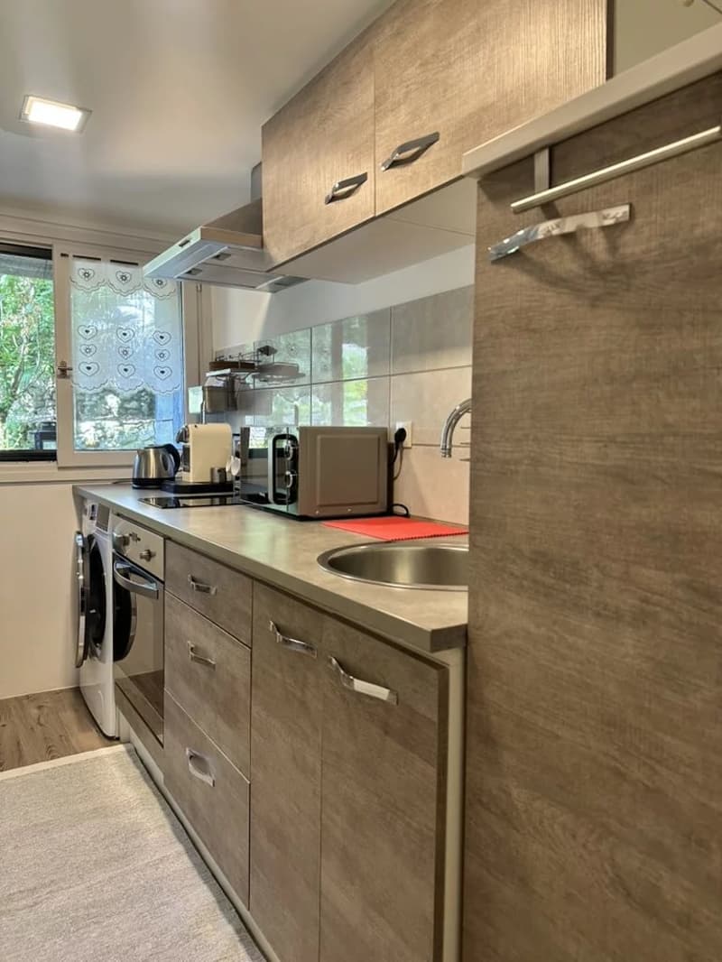 À louer - Appartement / Tiny House meublé à Feigères (3)