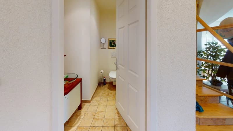 Maison 5 chambres - 5 minutes de la douane de Bardonnex (11)