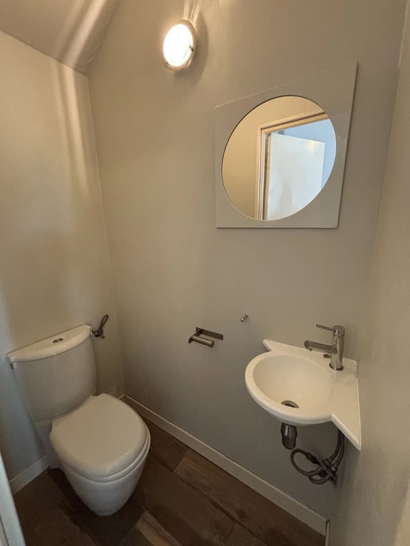 Charmante maison individuelle - Vue sur le jet d'eau de Geneve (10)