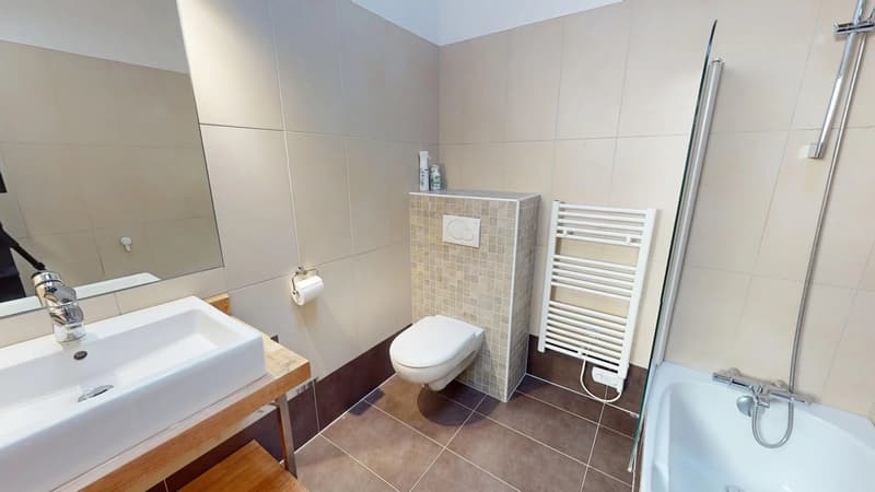 Maison meublée T4 rénovée de 218 m² à louer à Archamps (12)