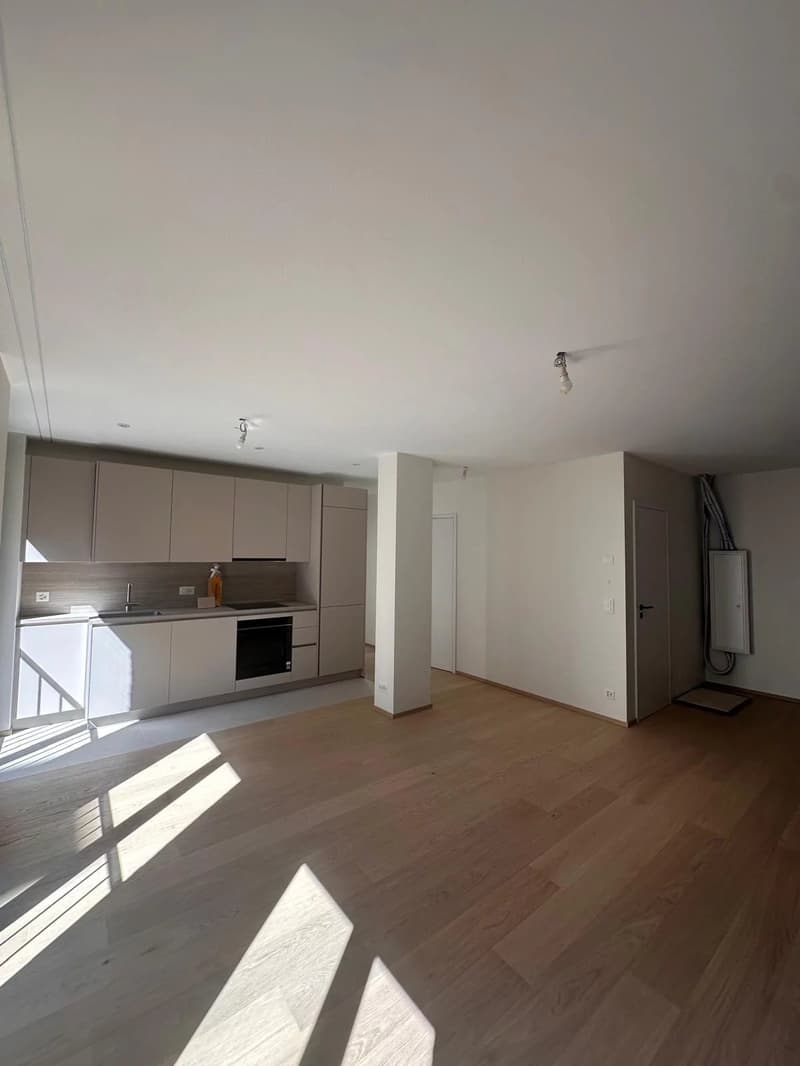 BIEN RARE - PETIT-SACONNEX ? 4 PIÈCES MEUBLÉ DE 70 M² AVEC TERRASSE ? RÉSIDENCE NEUVE (3)