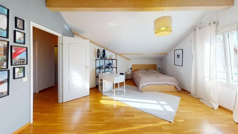 Superbe appartement duplex meublé en dernier étage ? Vue imprenable sur le Salève et les montagnes (11)