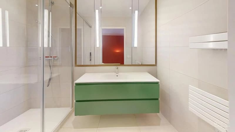 Superbe appartement duplex meublé en dernier étage ? Vue imprenable sur le Salève et les montagnes (9)