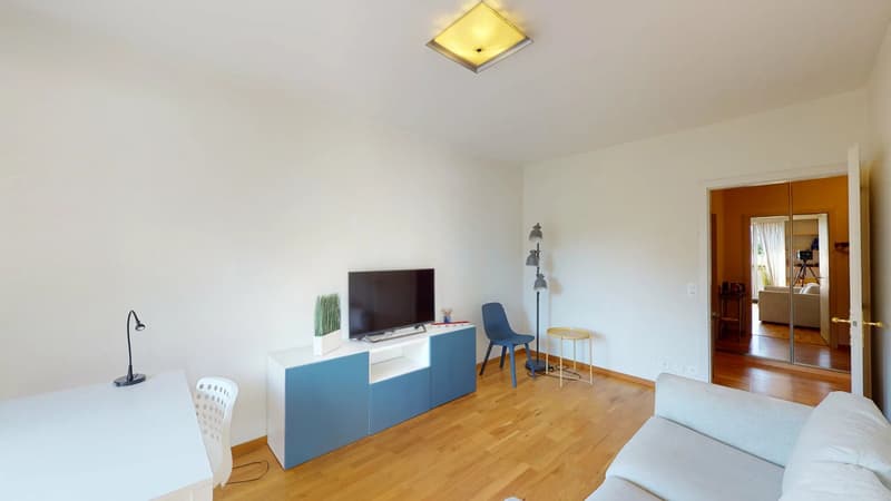 Appartement 3 pièces meublé, proche ONU - Genève (4)