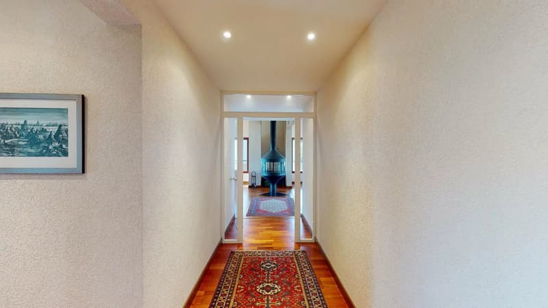 Appartement dernier étage, avec terrasse, proche douane Croix-de-Rozon (6)