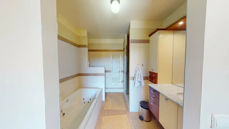 Appartement dernier étage, avec terrasse, proche douane Croix-de-Rozon (5)