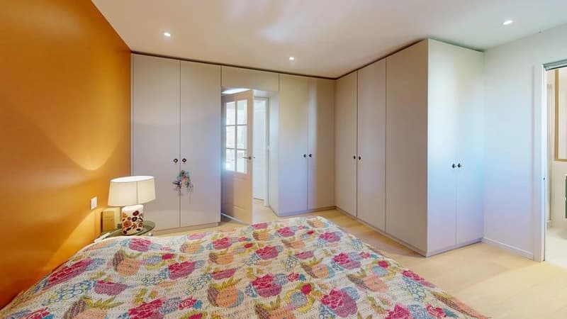 Superbe appartement duplex meublé en dernier étage ? Vue imprenable sur le Salève et les montagnes (10)