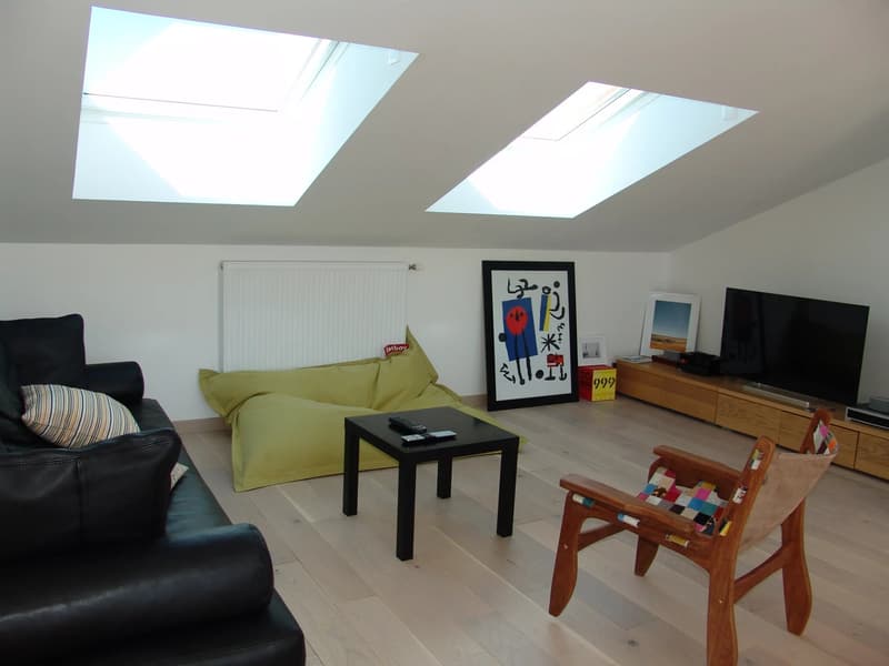 Appartement avec vue dégagée à Chens-sur-Léman (2)