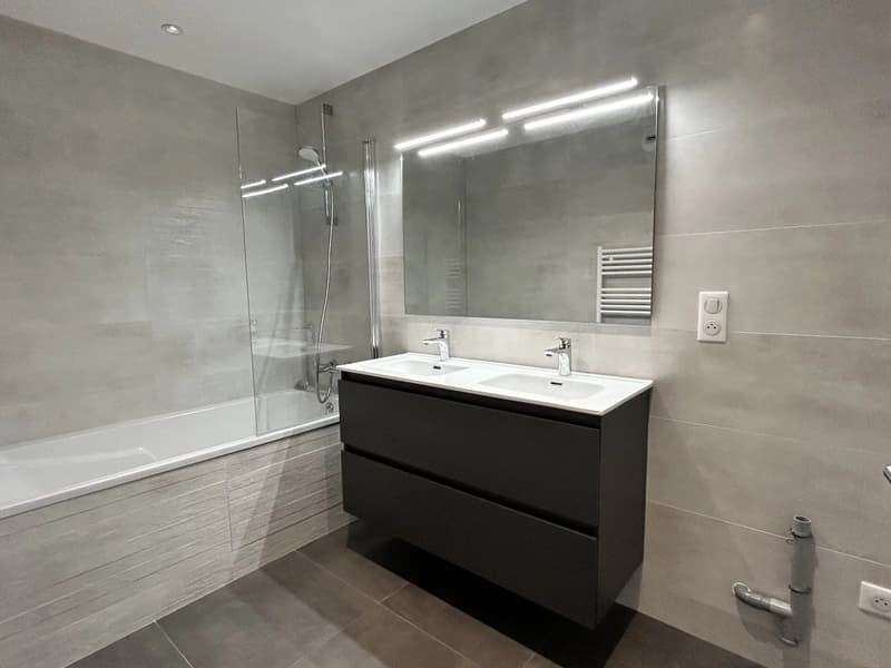 Appartement T4 entièrement rénové Saint-Julien-En-Genevois (5)