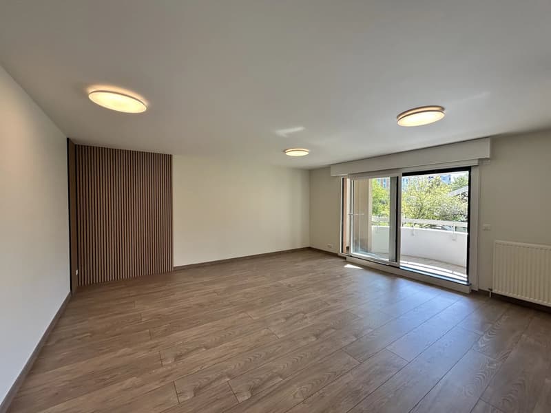 Appartement T4 entièrement rénové Saint-Julien-En-Genevois (4)