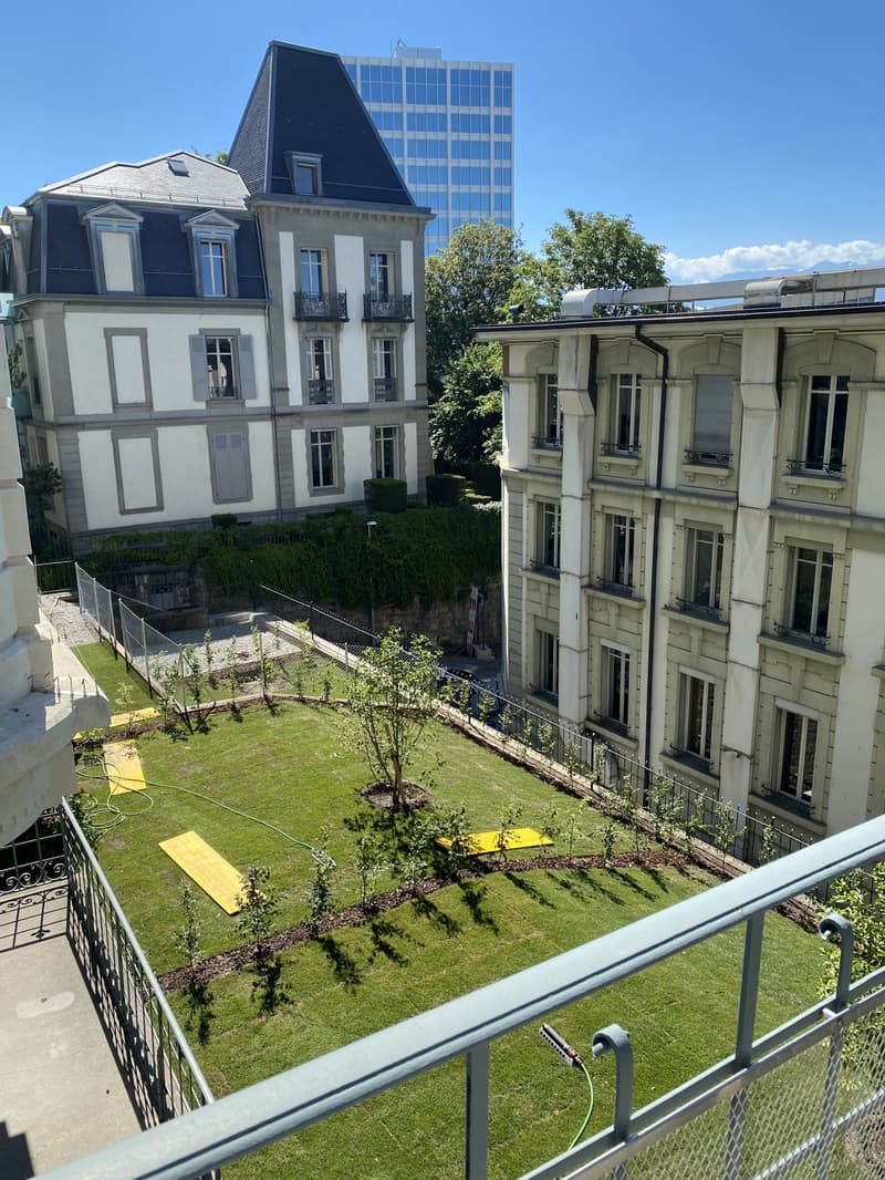 Vue