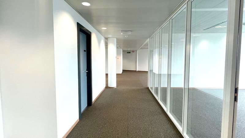 Vastes locaux administratifs partiellement loués. (2)
