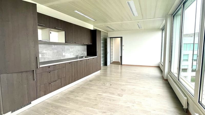 Vastes locaux administratifs en étages élevés et partiellement loués. (4)