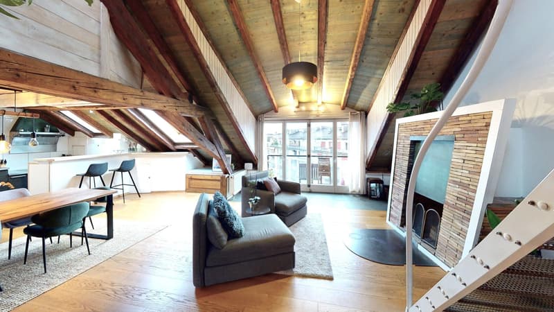 Genève centre - CHF 9'300,- / m2 PPE (2)