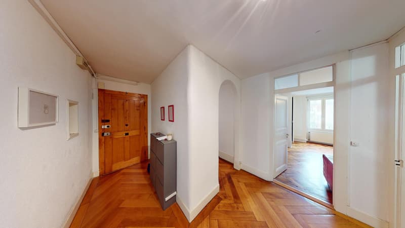 Genève centre - CHF 9'300,- / m2 PPE (3)