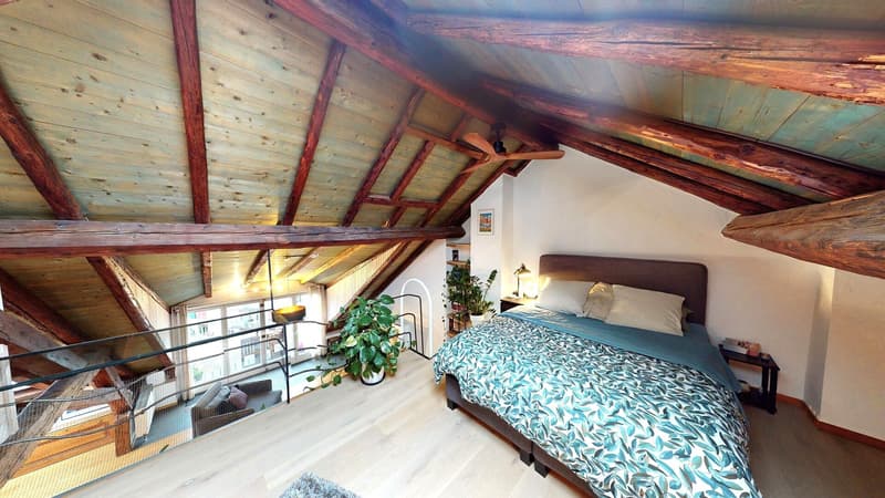 Genève centre - CHF 9'300,- / m2 PPE (6)