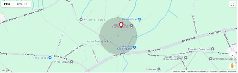 Attique de caractère avec jardin privatif & éligibilité CASATAX à Cartigny (5)