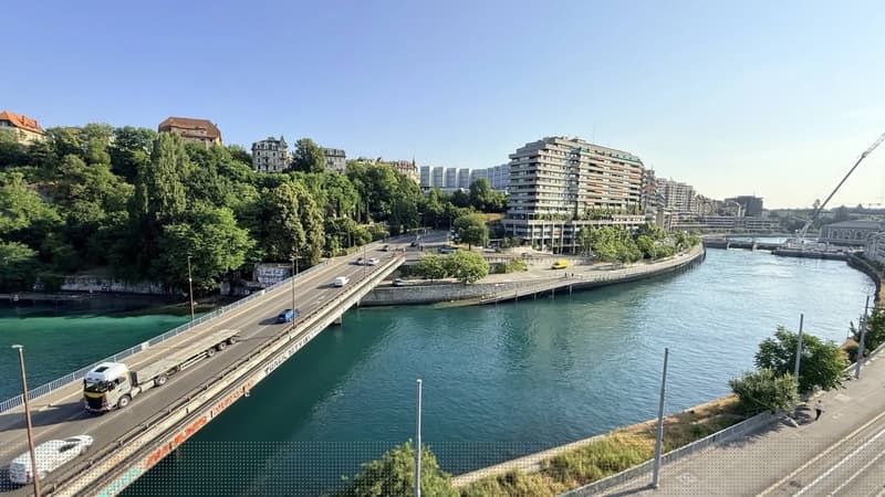 EXCLUSIVE & CASATAX - Charming 3.5-bedroom apartment in the heart of G (8)