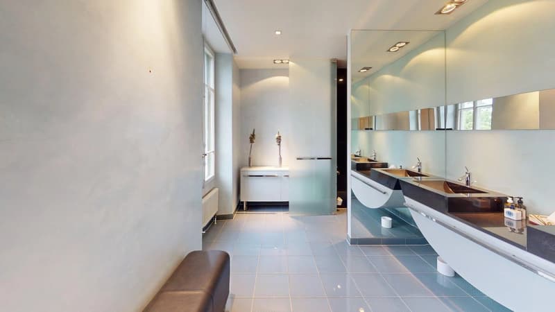 Private mansion & exceptional address (12)