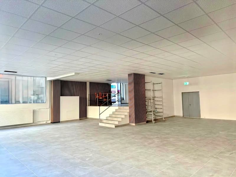 Commercial arcade, sale as a company or in a personal name (5)