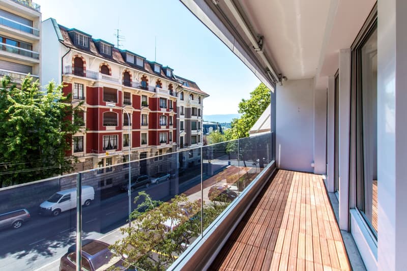 Lot of 2 apartments - Crêts de Champel! (6)