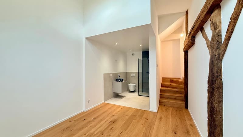 Heritage charm and exceptional renovation in Mategnin. (6)