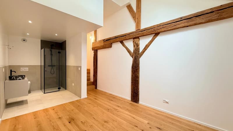 Heritage charm and exceptional renovation in Mategnin. (7)