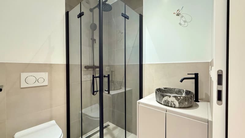 Heritage charm and exceptional renovation in Mategnin. (5)