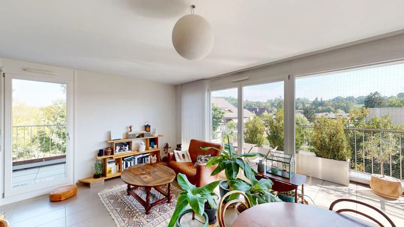 Attic 3.5 rooms with large terrace and Léman Express two minutes away! (3)