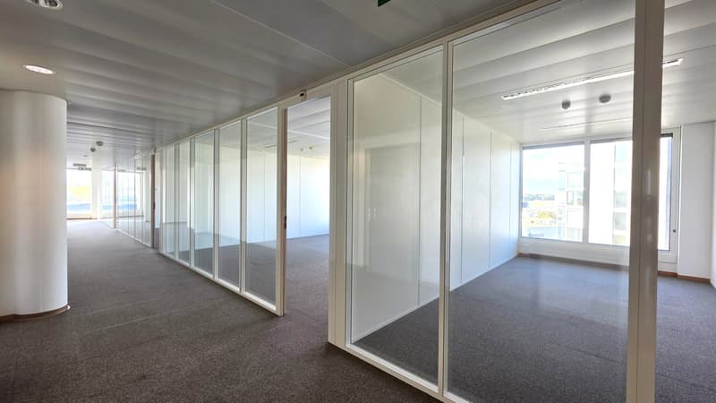 LARGE FURNISHED OFFICES ? TWO SEPARATE UNITS ON THE 6th AND 7th FLOORS ? BLANDONNET (8)