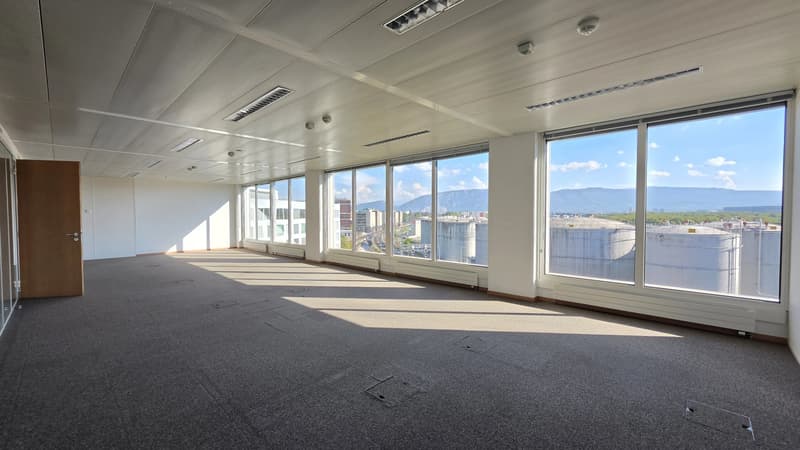 Spacious offices renovated on a high floor ? Blandonnet (5)