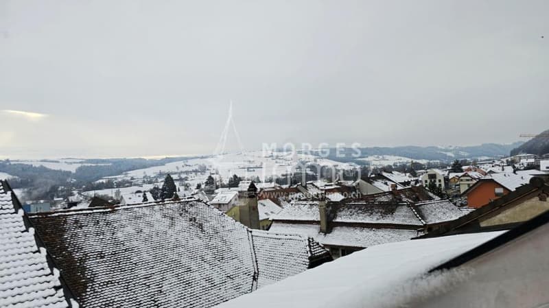 Bel appartement en demi-niveaux dans les combles