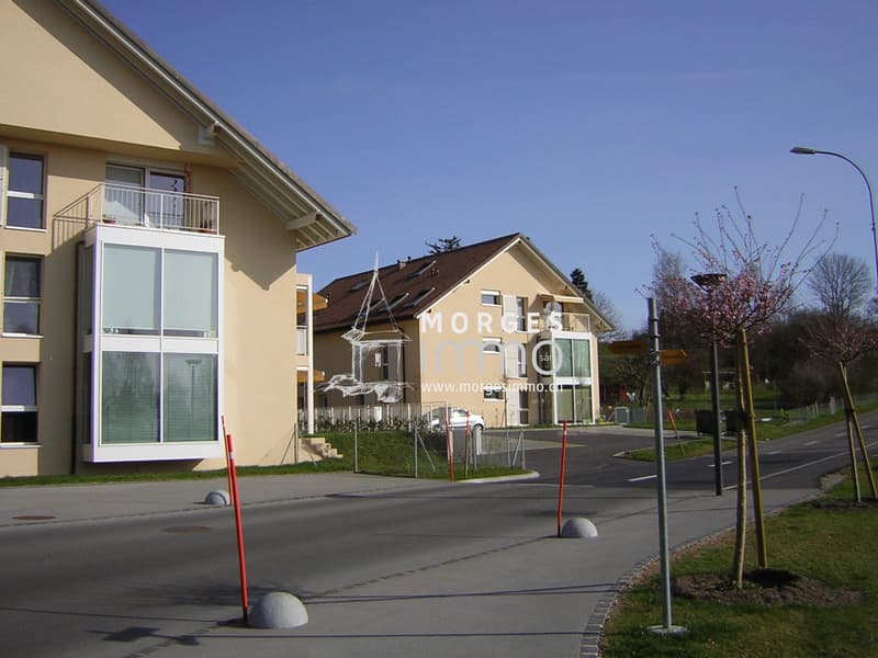 25.jpg