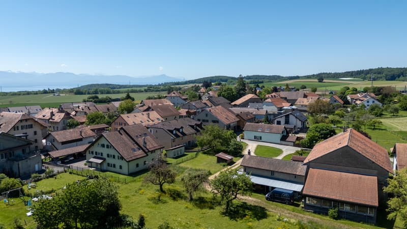 DJI_20260522120814_0059_D.jpg