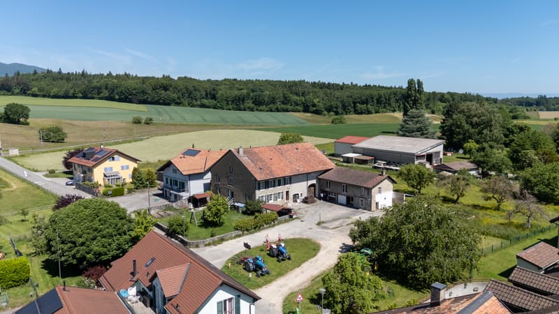 DJI_20260522120429_0029_D.jpg