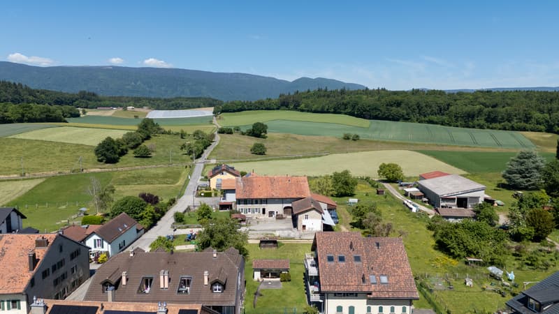DJI_20260522120702_0047_D.jpg