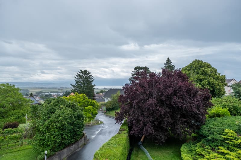 adri8249.jpg