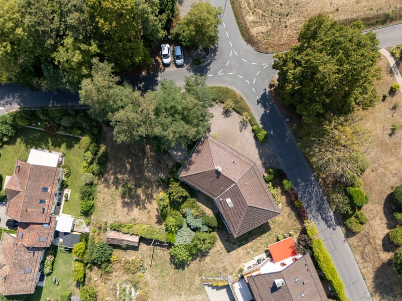 dji_20260810160238_0086_d.jpg