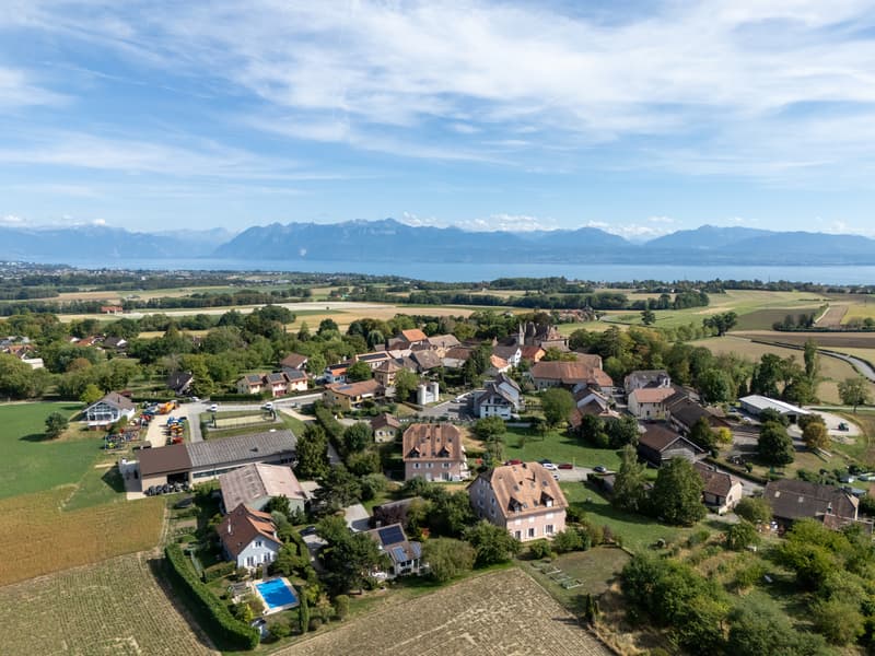 dji_20260901162059_0196_d.jpg