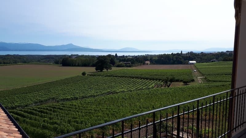 Appartement lumineux de 4.5 pièces avec vue panoramique à Lavigny (1)