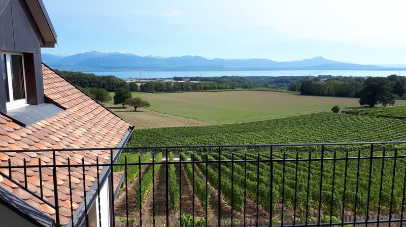 Appartement lumineux de 4.5 pièces avec vue panoramique à Lavigny (3)