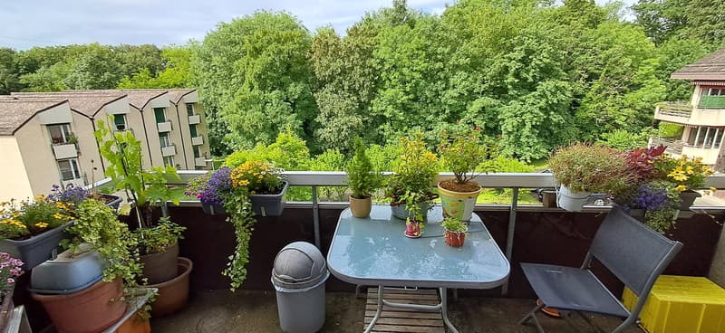 Charmant appartement en attique de 2.5 pièces à Tolochenaz (5)