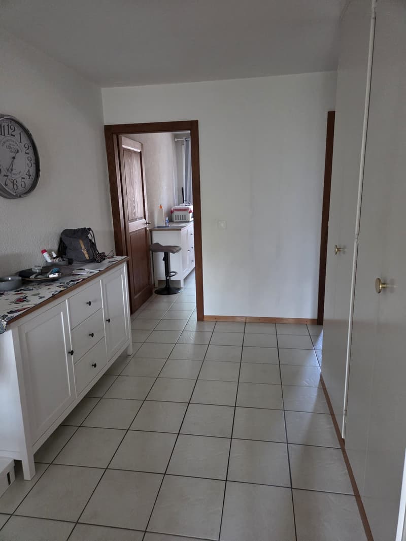 Appartement de 2.5p au coeur du village de Perroy (6)