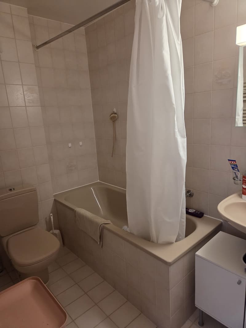 Appartement de 2.5p au coeur du village de Perroy (4)