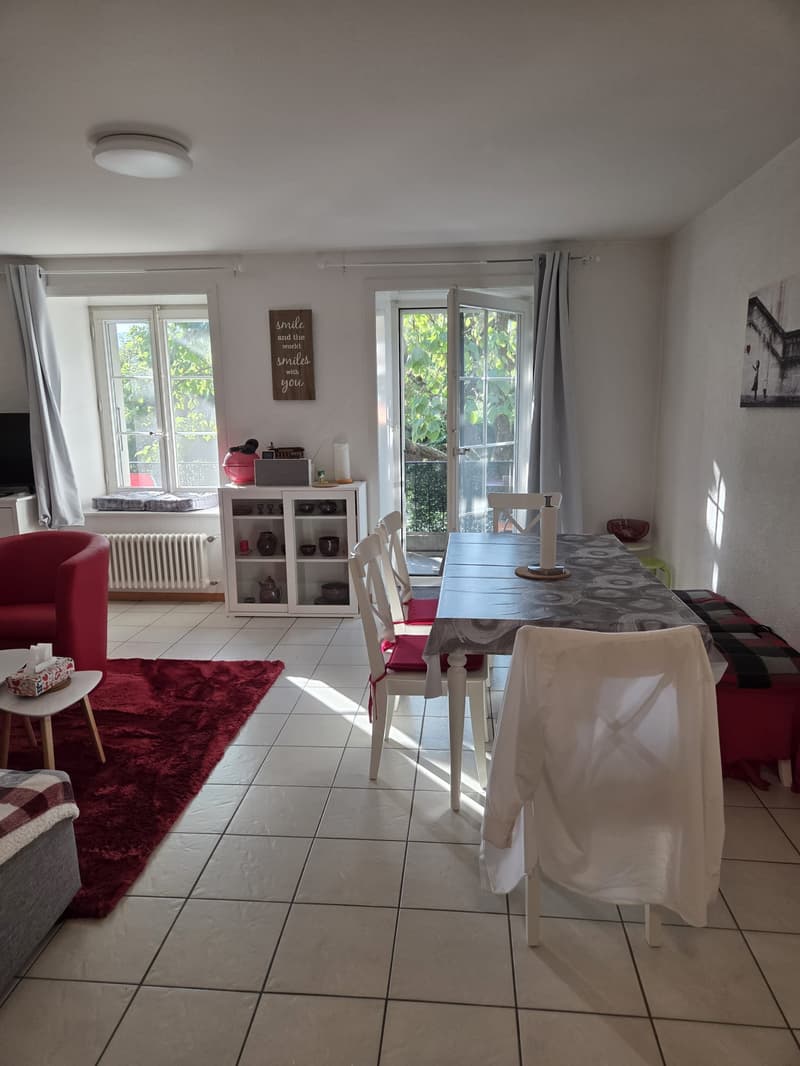 Appartement de 2.5p au coeur du village de Perroy (7)