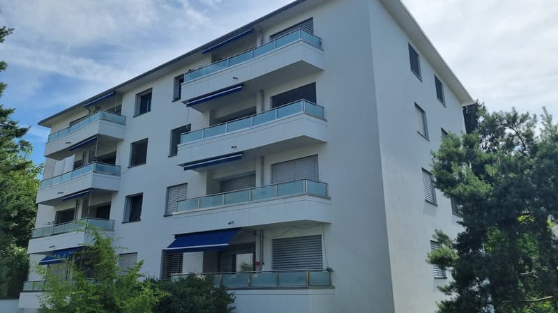 Charmant 3 pièces rénové avec balcon à Prilly (1)